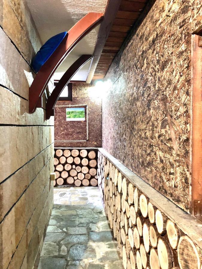 Pamporovo Villa Екстер'єр фото