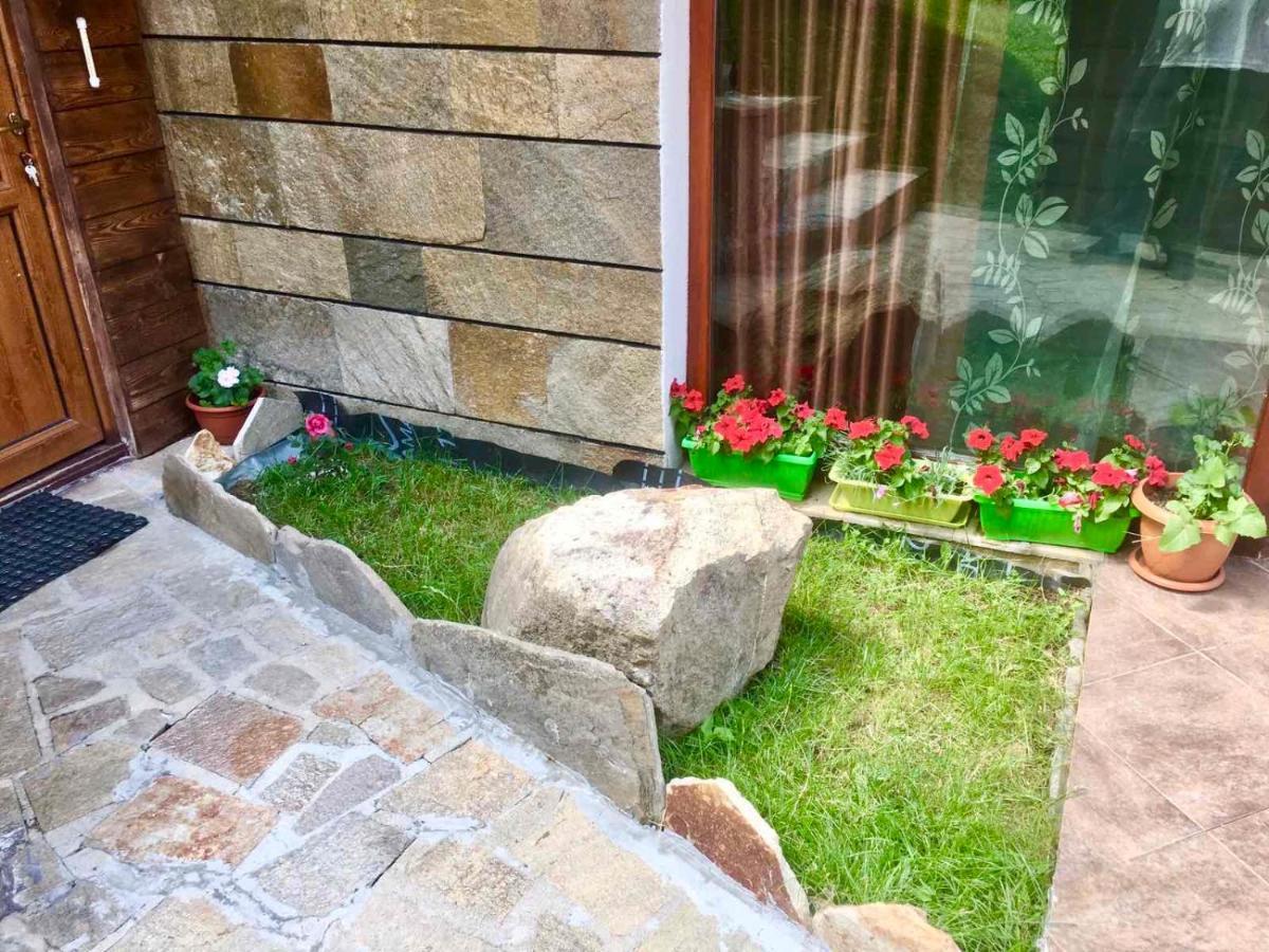 Pamporovo Villa Екстер'єр фото